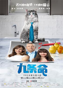 午夜久久免费视频