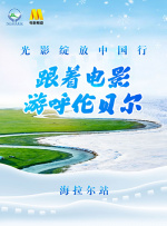 少妇与公做了夜伦理