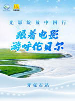 论理片网站