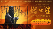 a级毛片黄