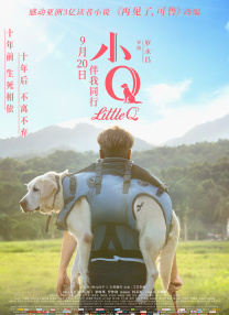 高压监狱在哪看