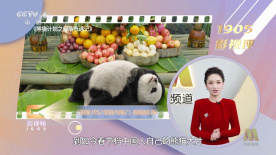 一区二区三区在线观看免费